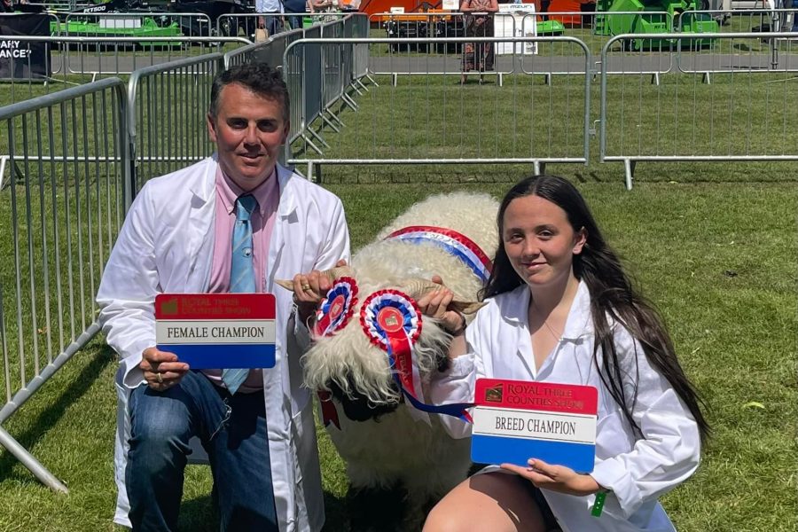 Thrilled to win Champion Valais at the Royal Three Counties Show over the weekend