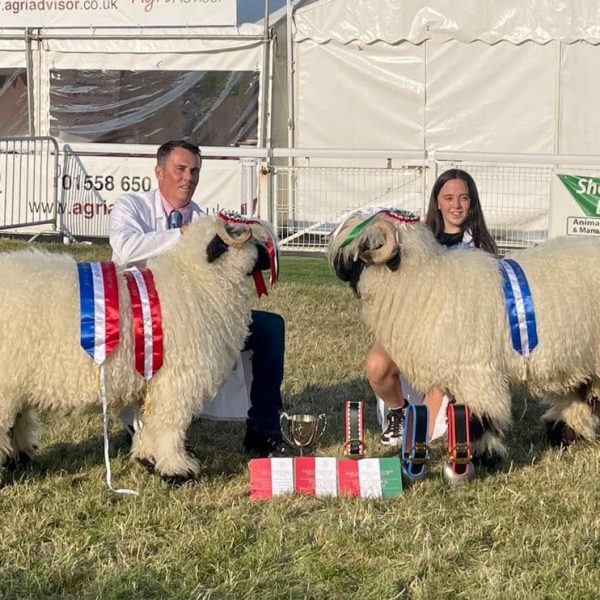 Absolutely over the moon to win Supreme Champion Valais at the Royal Welsh Show