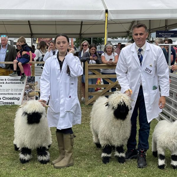 I attended The Royal Highland Show a few weeks ago with 6 of my Cheshire flock and was pleased to win Reserve Champion Female