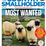 My Valais Sheep made the front page of Country Smallholder April edition