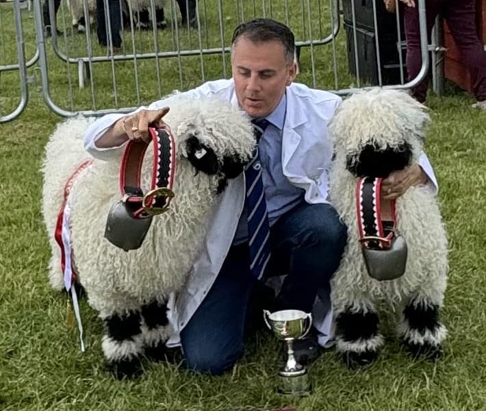 I managed to win Supreme Champion Valais and Champion Male and Champion Female