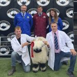 Thanks for putting on a Grading and Show at Ludlow yesterday at such short notice with the Bluetongue restrictions changing.