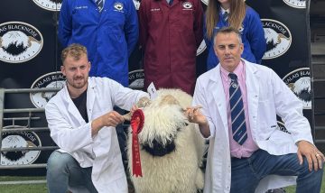 Thanks for putting on a Grading and Show at Ludlow yesterday at such short notice with the Bluetongue restrictions changing.