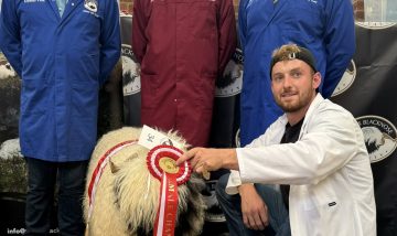 Big thanks to all involved putting on a Grading event and Show at York.